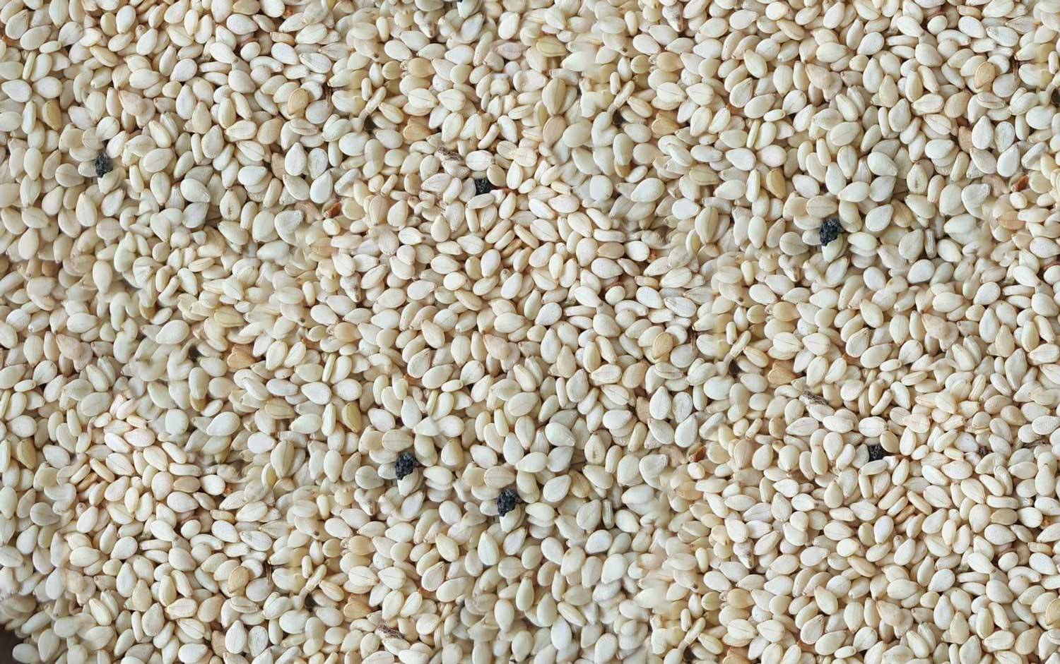 NATURAL SESAME SEEDS NATURAL SESAME SEEDS