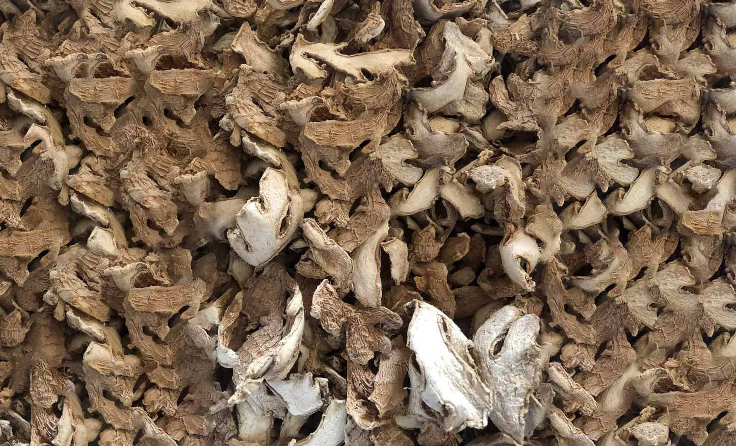 DRIED SPLIT GINGER DRIED SPLIT GINGER