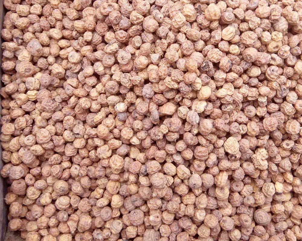 TIGER NUTS TIGER NUTS