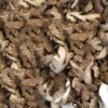 Dried-split-ginger.jpg