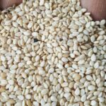 Natural-sesame-seeds