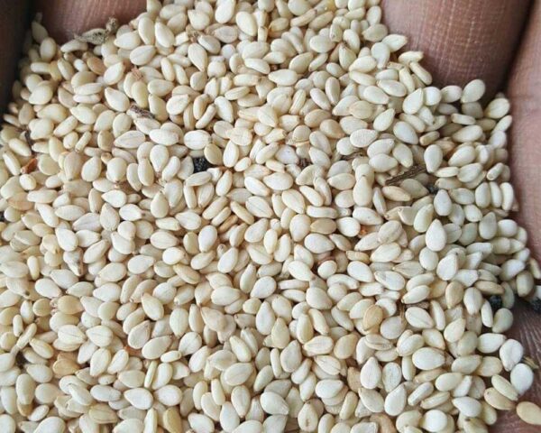 Natural-sesame-seeds