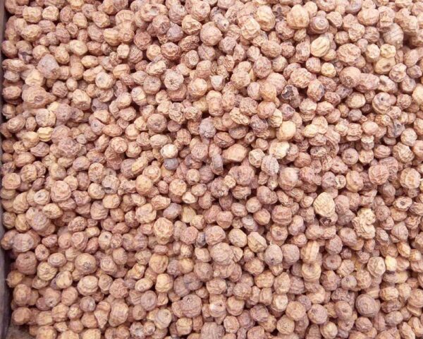 Tiger-nut-seeds