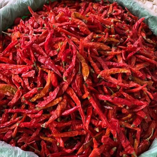 Dried Red Chili Pepper