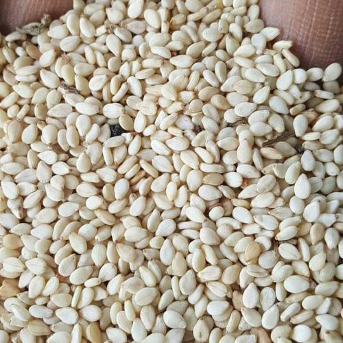 Natural-sesame-seeds