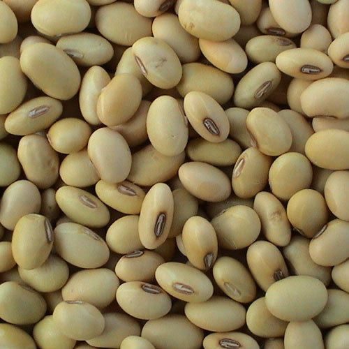 Soya beans