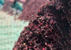 Dried Hibiscus leaves