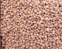 TIGER NUTS