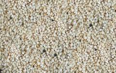 NATURAL SESAME SEEDS